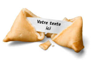 Fortune cookie personnalisé-Gateau chinois message-Votre message ici-Dakota Pub